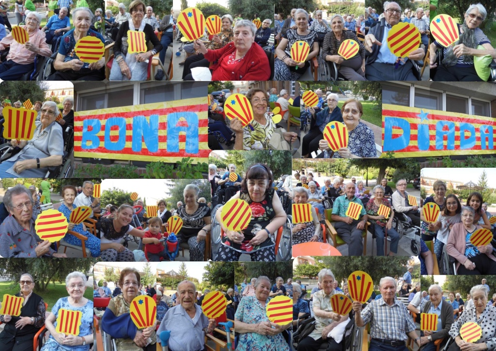 diada 1-001 (2)